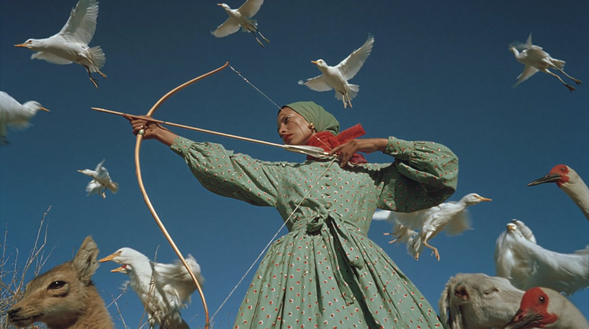 Surreal Archer With Birds and Animals