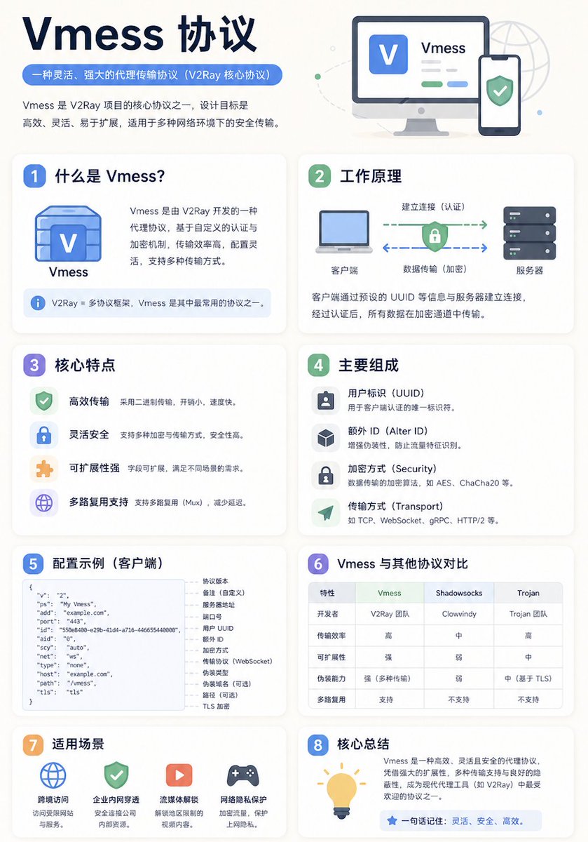 Chinese Vmess Protocol Infographic