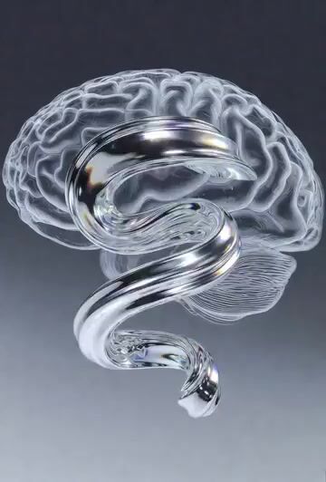 Video Generation Prompt: Fluid Ribbon in a Transparent Brain