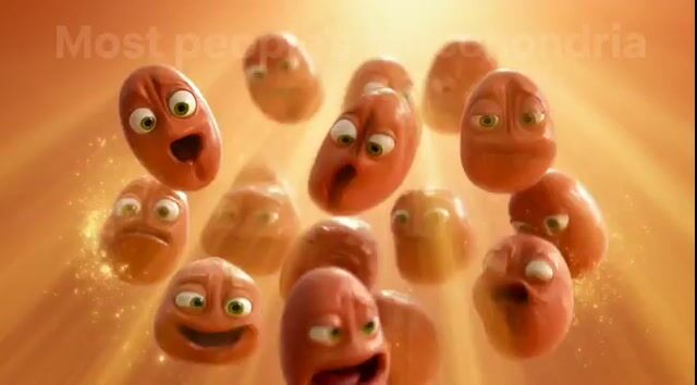 Mitochondria Hiding from Russians