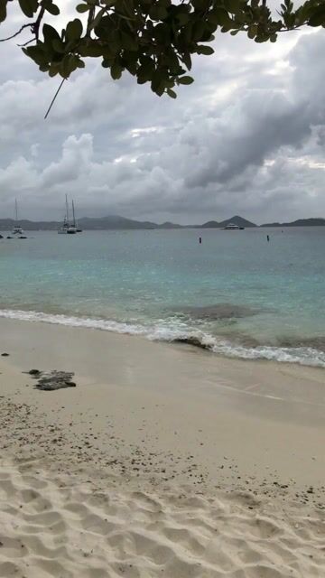 Pelicans and Beach Walkers Video Prompt