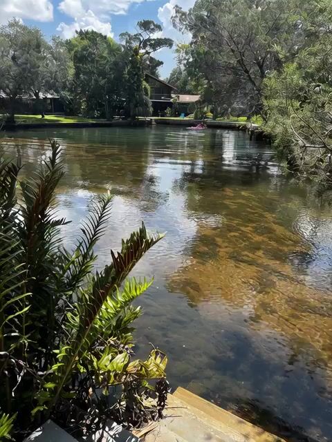 Scary Water Creature Emergence