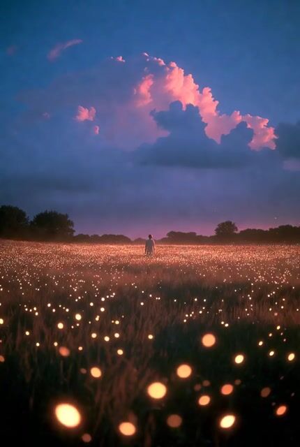 Firefly Fields Narrative Poem