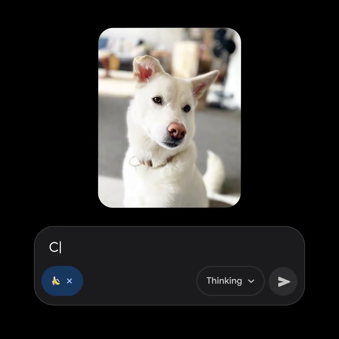 Aspect Ratio Change Utility Prompt