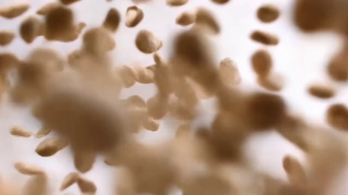 Hyper-Realistic Pet Food Ad Series Prompt