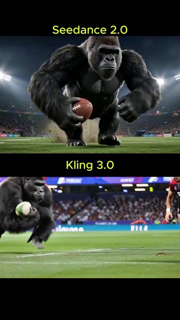 Rugby Match: Humans vs. Gorillas