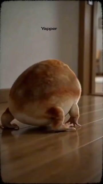 Absurd Cute Dog Video Prompt