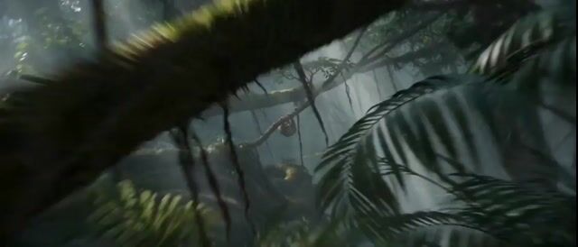 Impossible Camera Moves in Amazon Rainforest