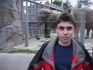 Man and Elephant at Zoo (Old Camera Style)