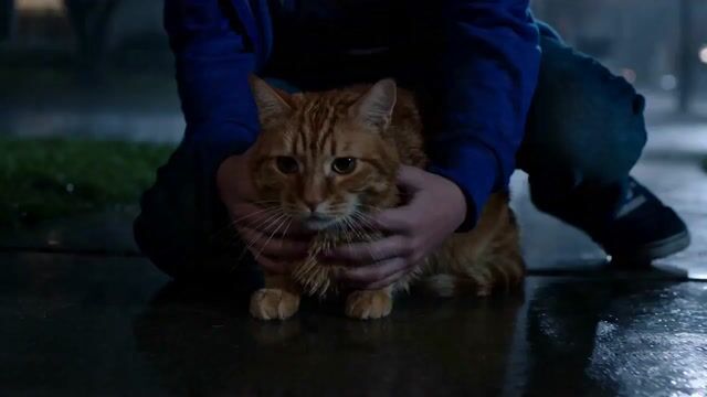 15-Second Microdrama: Alien Cat Twist