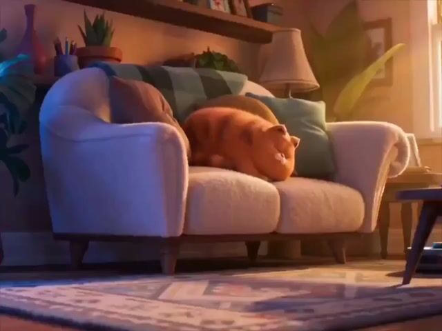 Cat and Robot Vacuum Narrative Script