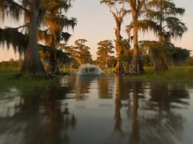 Bayou Hippo Surge Attack