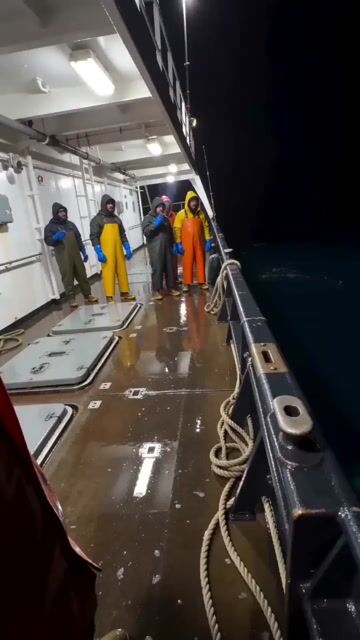 Shark Chasing Tuna on Fishing Boat