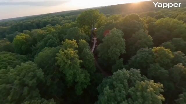 FPV cinematic flight through a treehouse