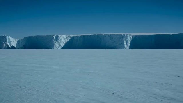 Antarctic Leviathan Awakening